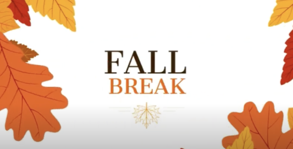 Students "fall" into break with excitement